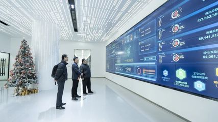 攜手共進(jìn)，開(kāi)創(chuàng)信息服務(wù)新篇章——上海市信息服務(wù)業(yè)行業(yè)協(xié)會(huì)秘書(shū)長(zhǎng)陸雷一行蒞臨珍島集團(tuán)調(diào)研